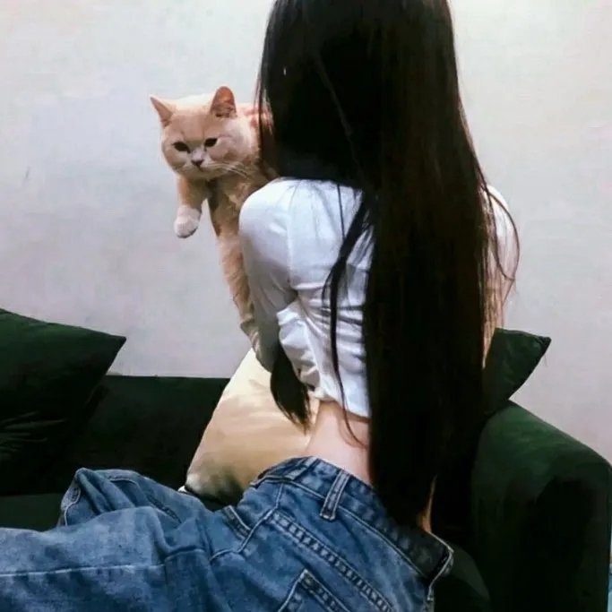 大笨蛋