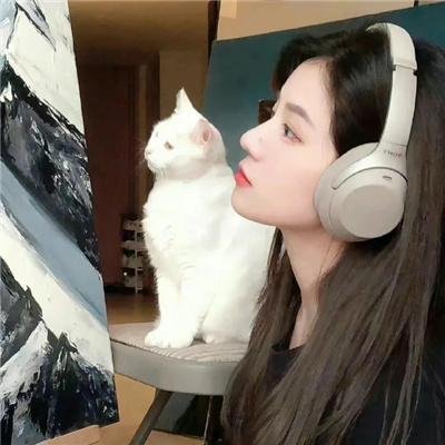 风愿