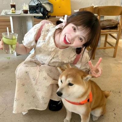 镜花缘